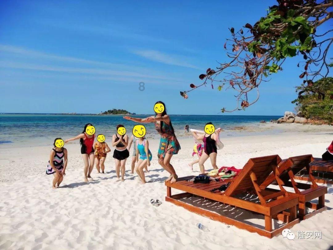 求流浪mp3原唱游戏画面